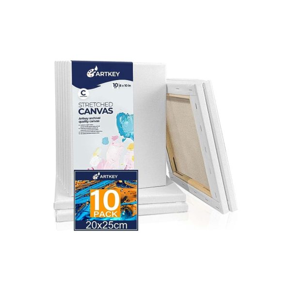 10-Pack Canvases for Painting on Sale
